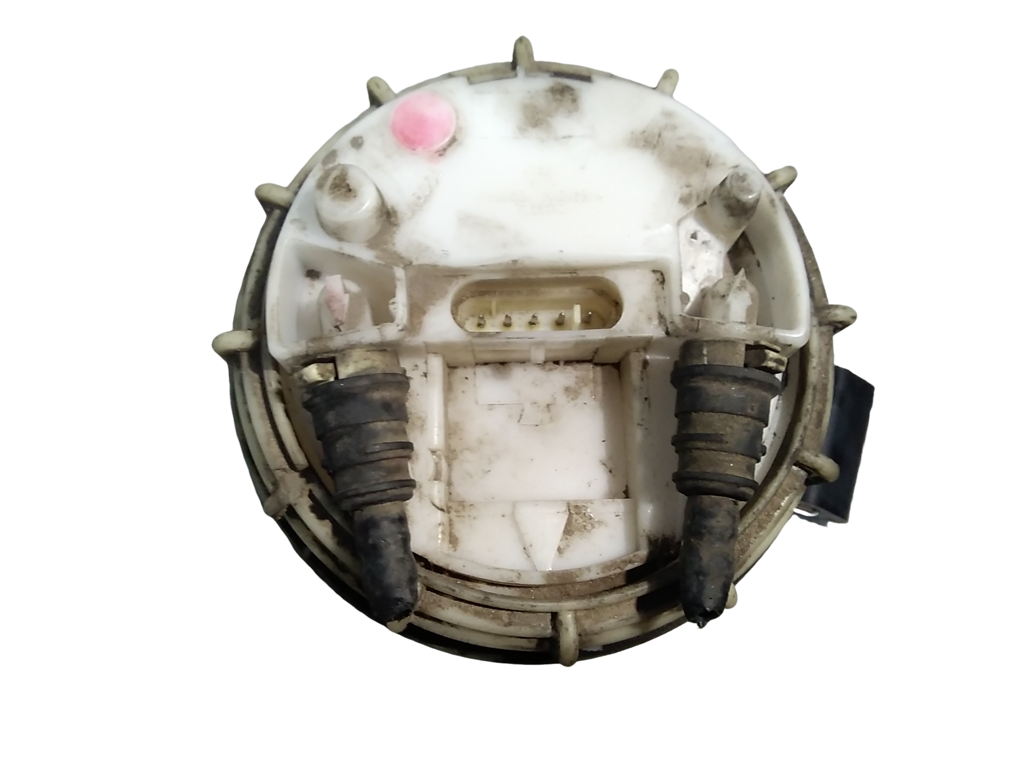 Miniatura 3