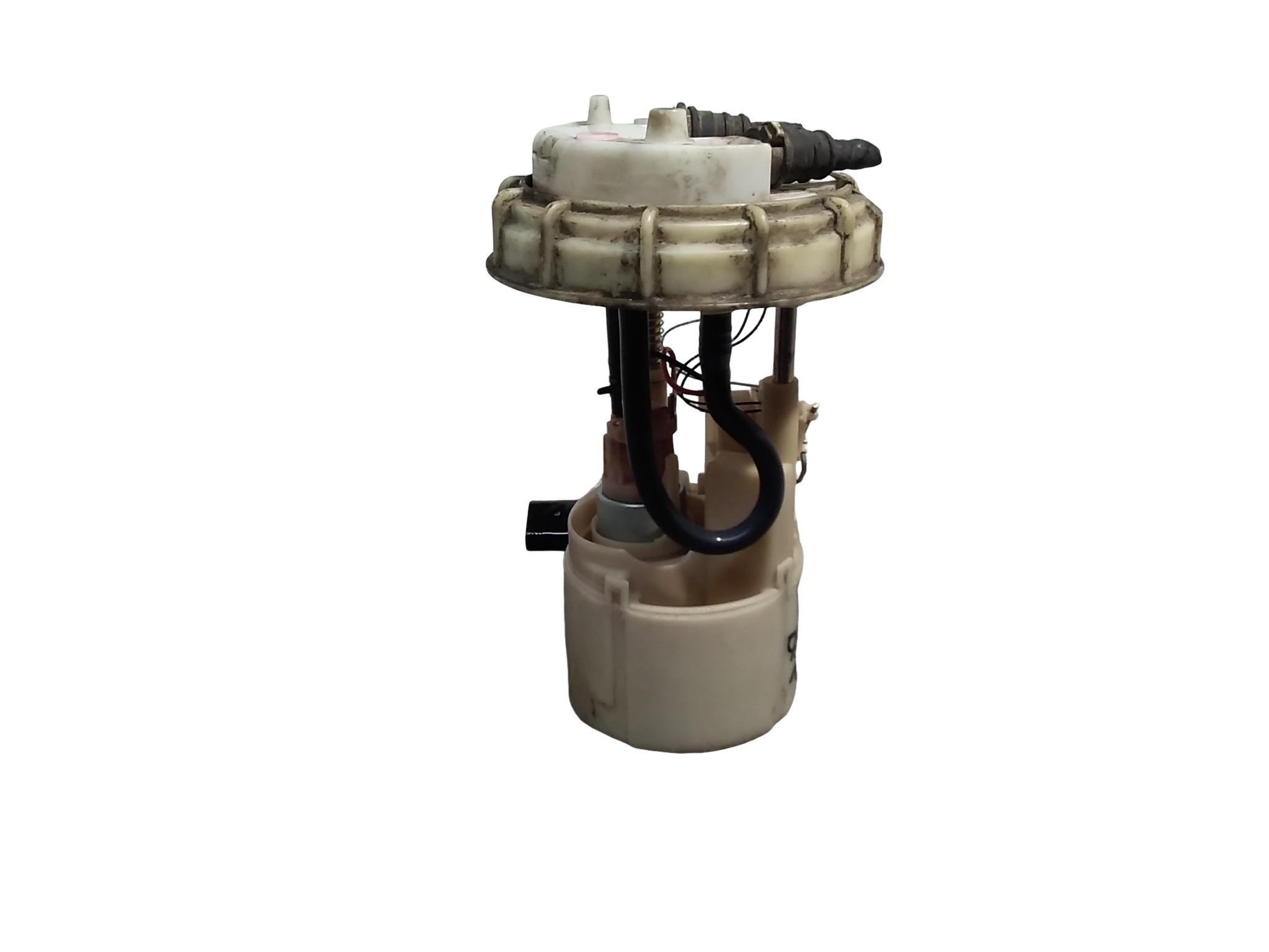 Miniatura 6