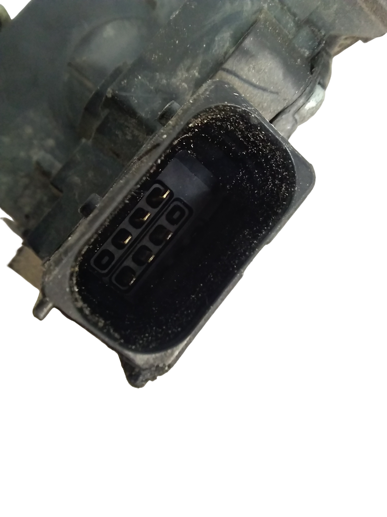 Miniatura 6