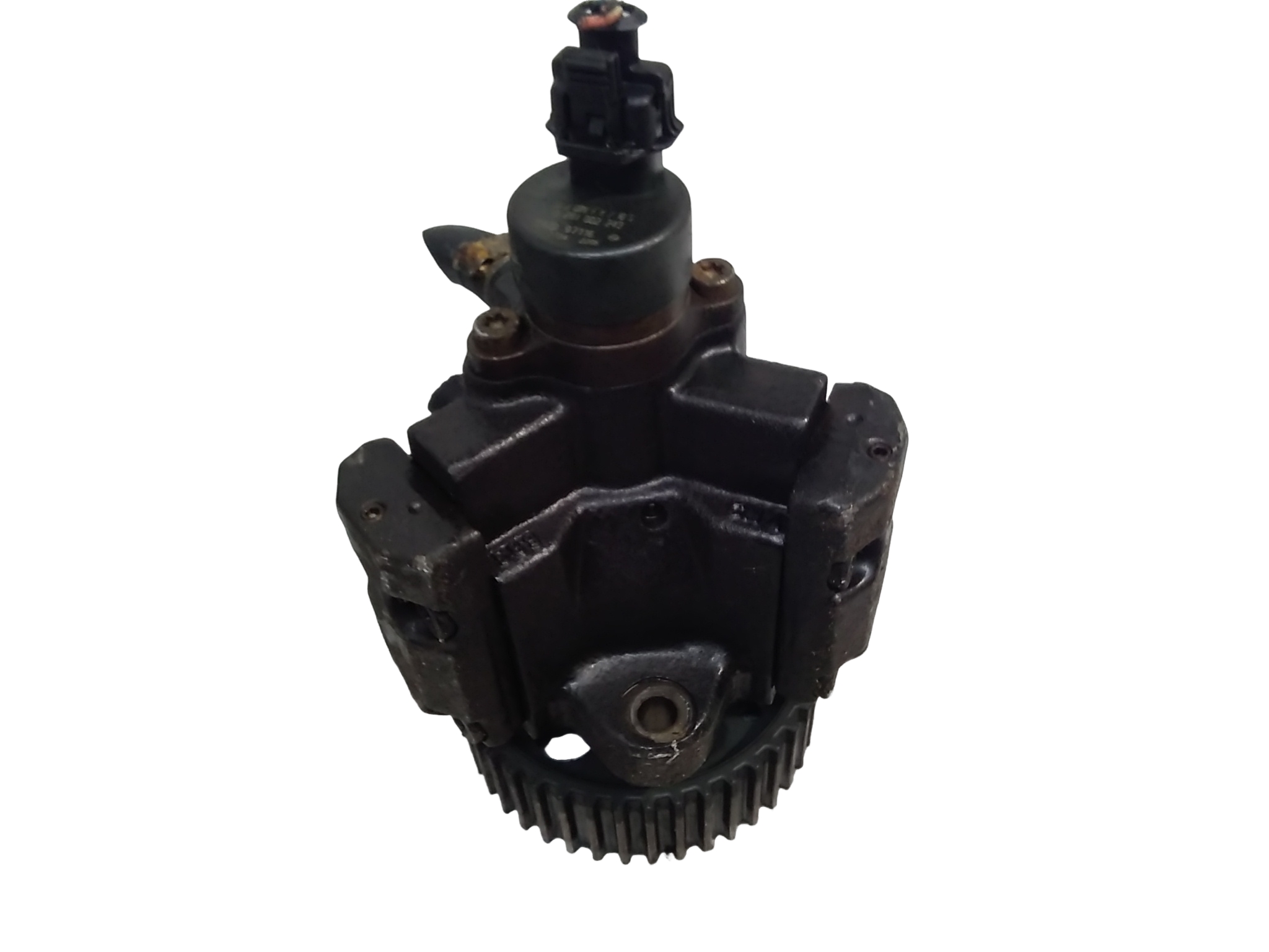 Miniatura 6