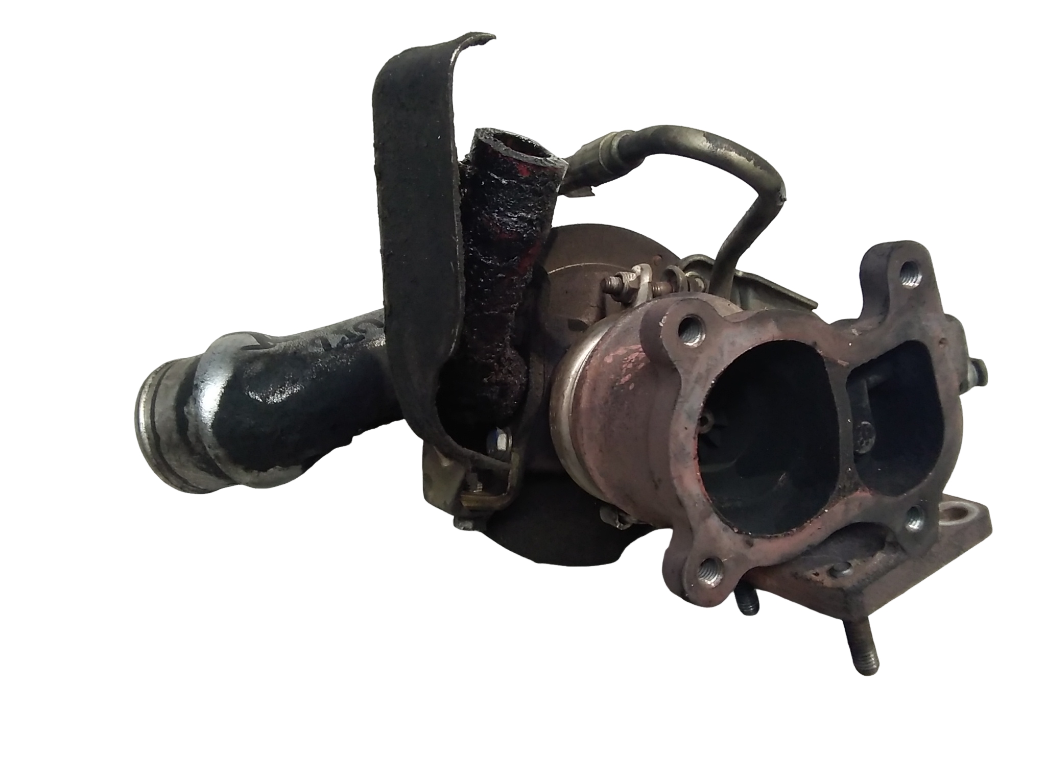 Miniatura 6