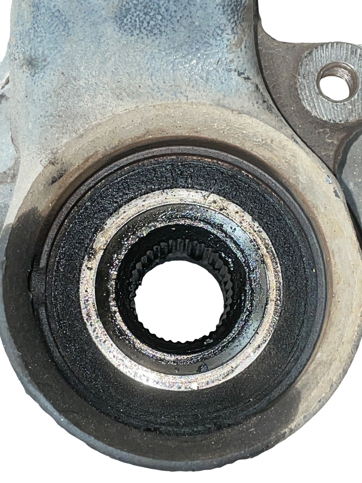 Miniatura 6