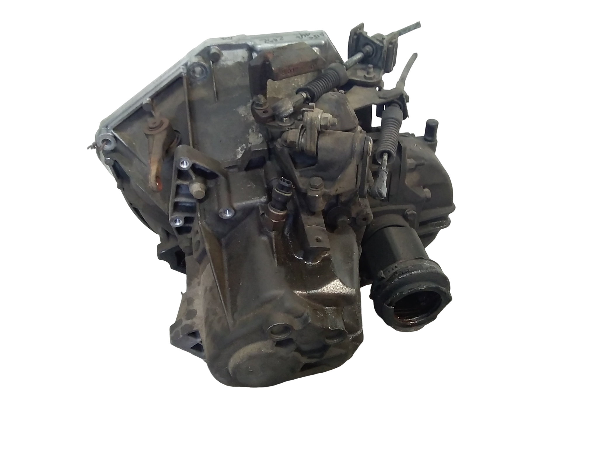 Miniatura 7