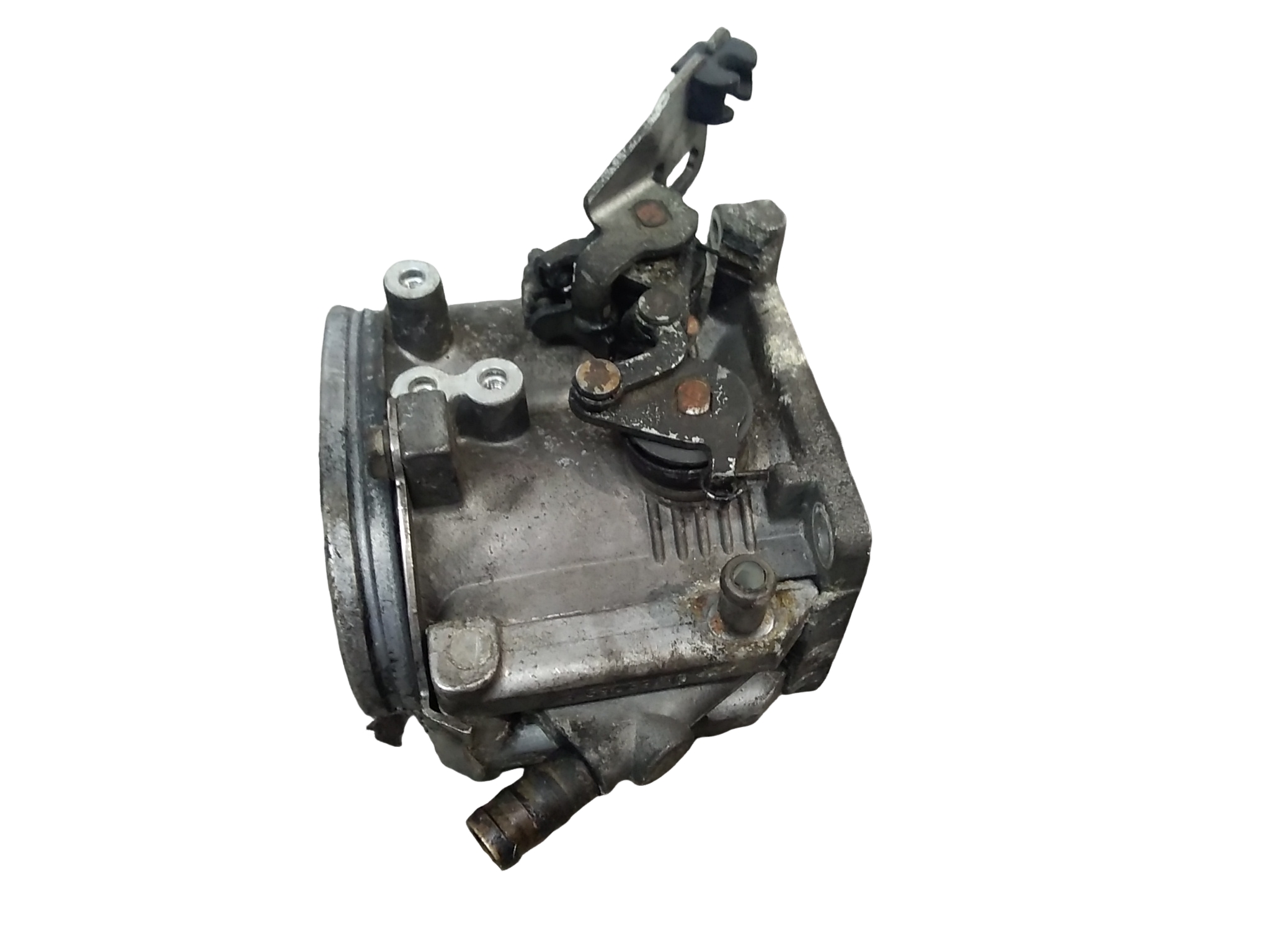 Miniatura 7