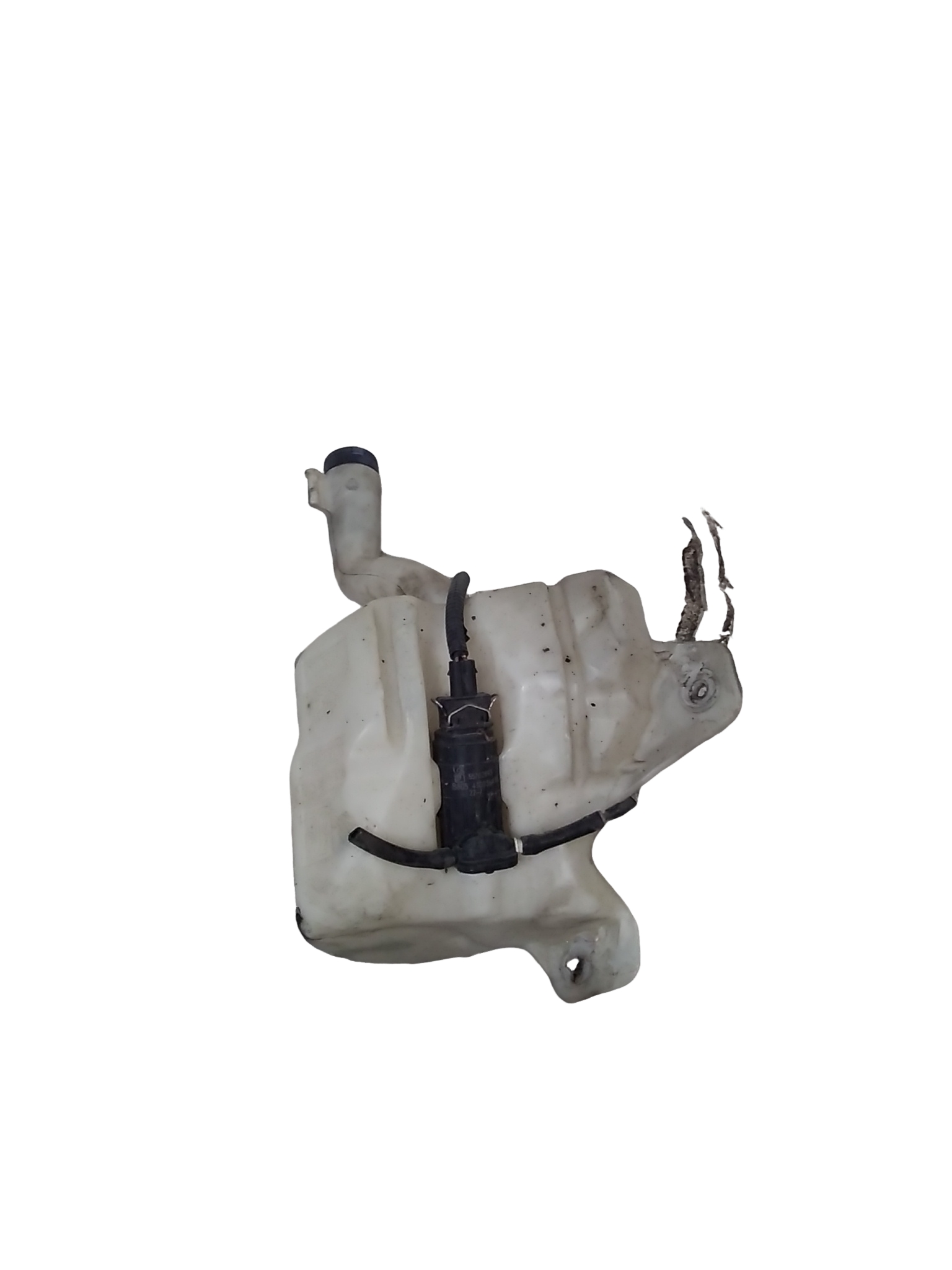 Miniatura 7