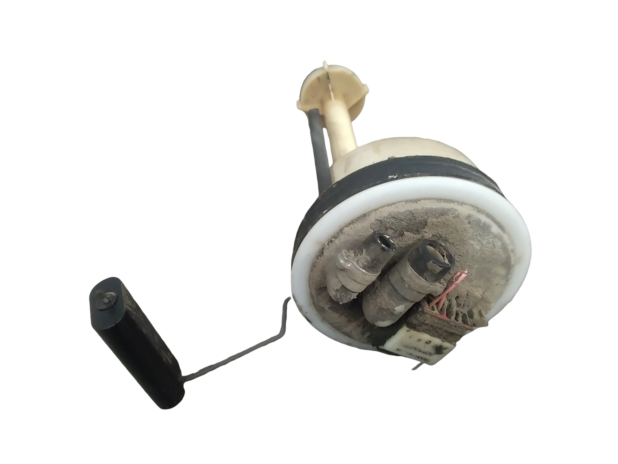 Miniatura 3