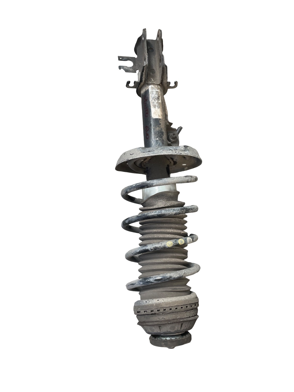 Ammortizzatore Ant. Destro (Fiat) 51865489 Usato