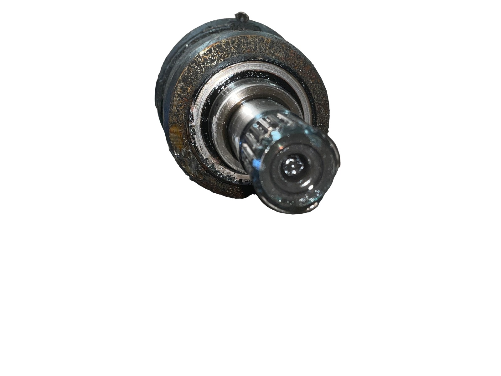 Miniatura 6