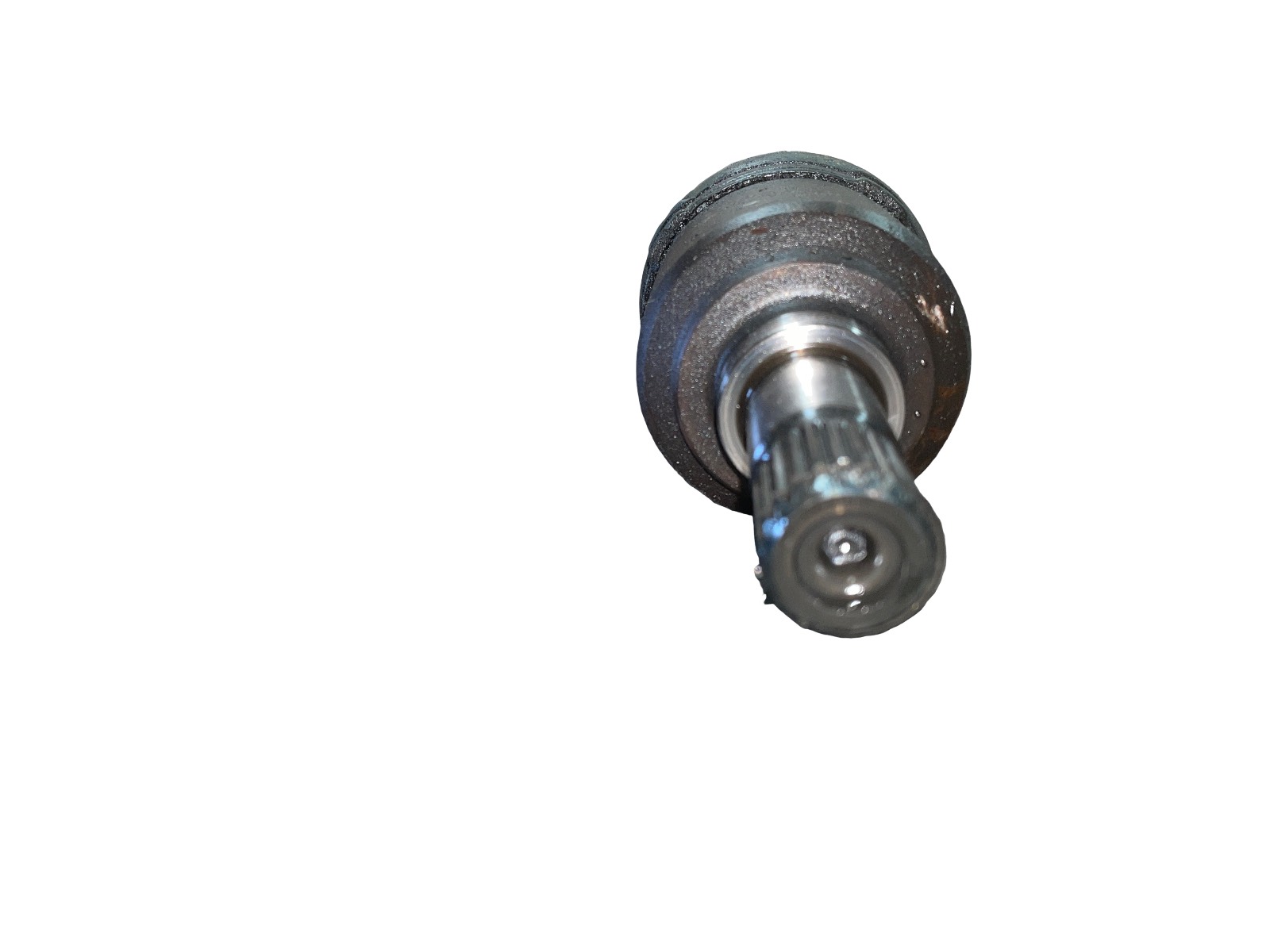 Miniatura 6