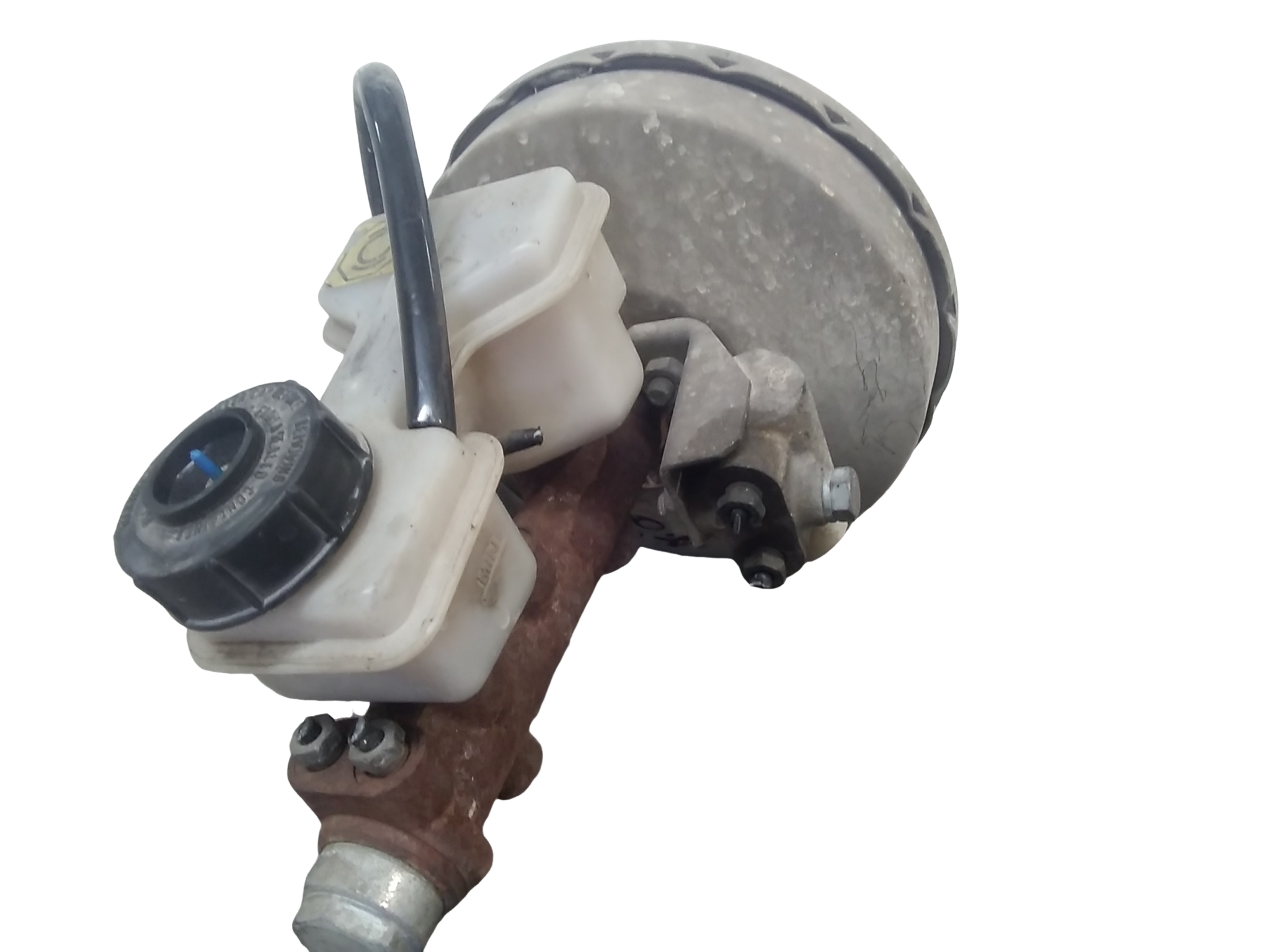 Miniatura 7