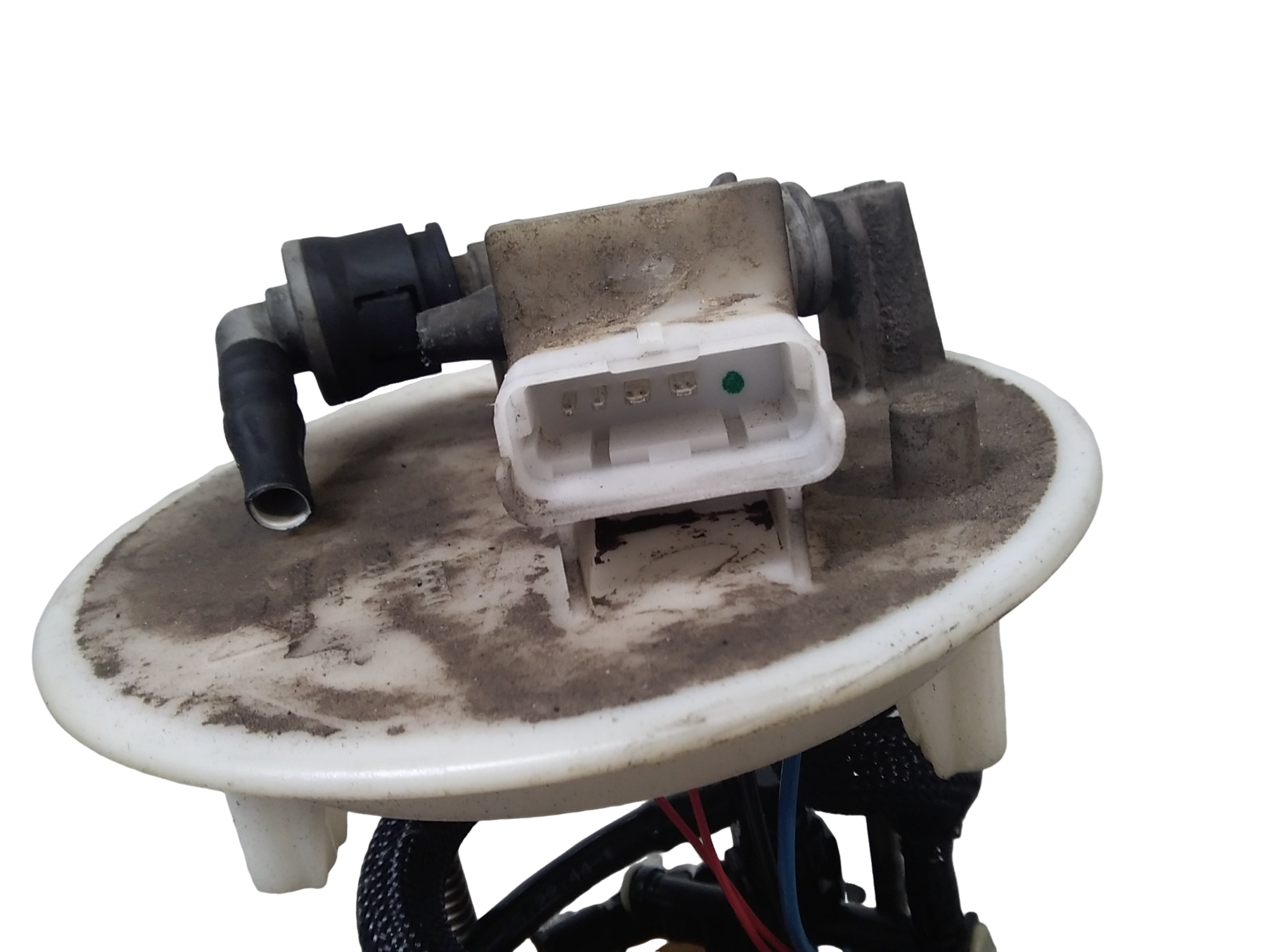 Miniatura 4