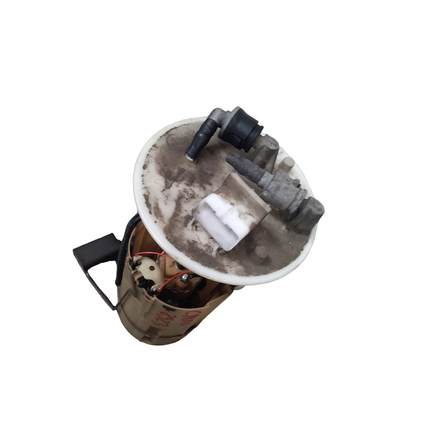 Miniatura 7