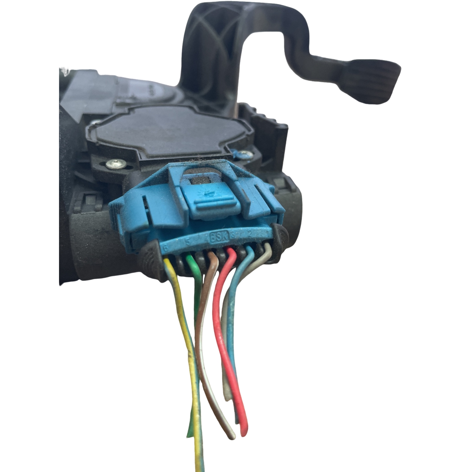 Miniatura 6