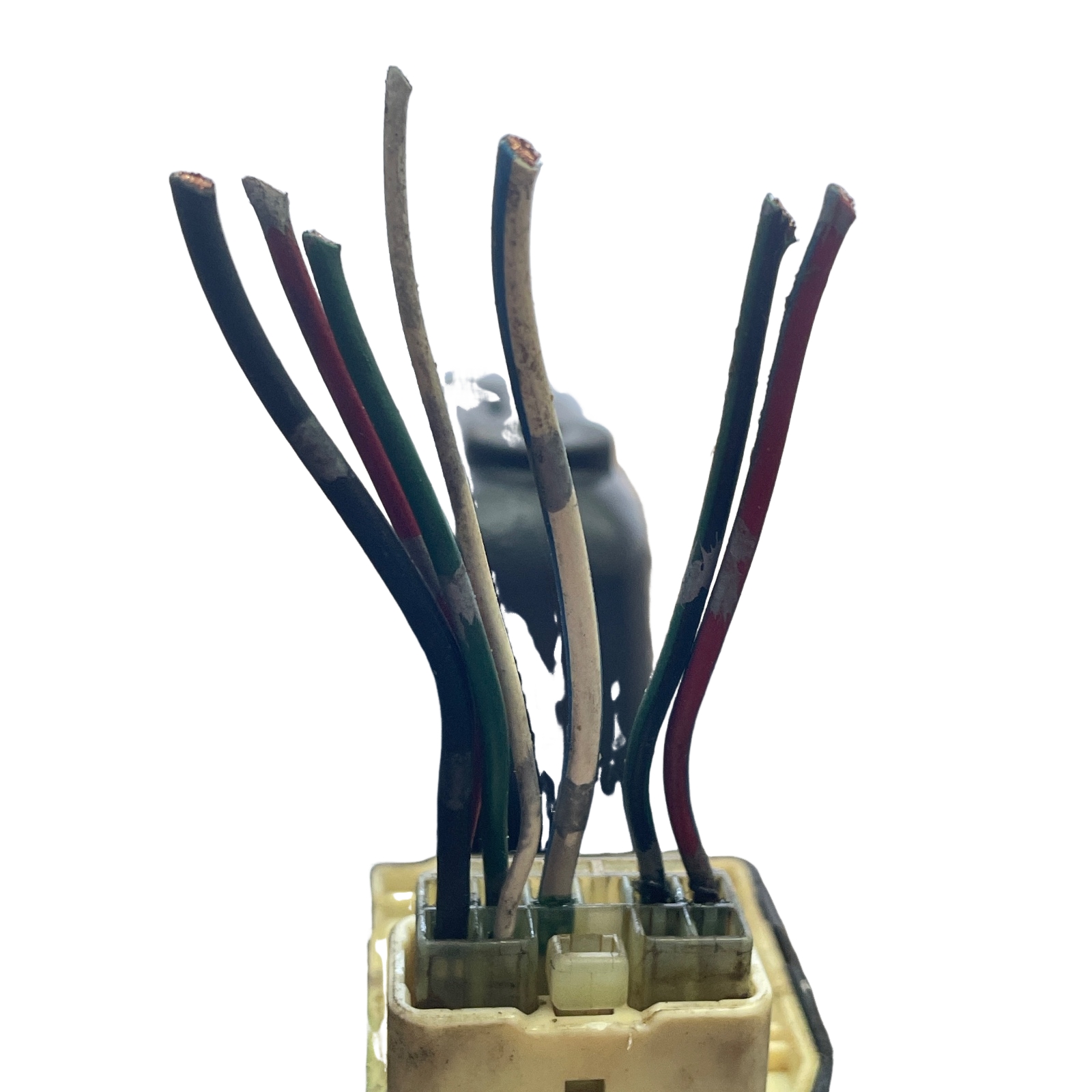 Miniatura 7