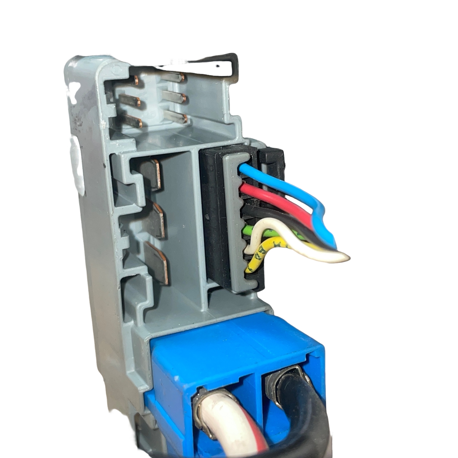 Miniatura 12