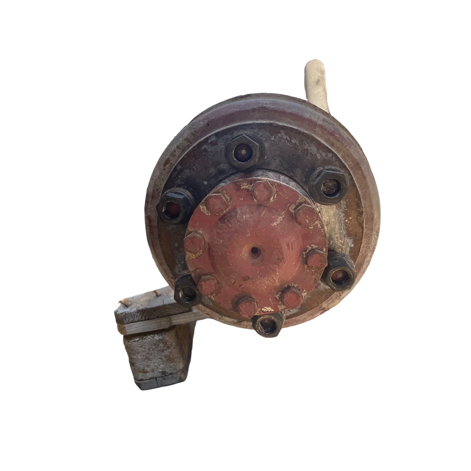 Miniatura 5