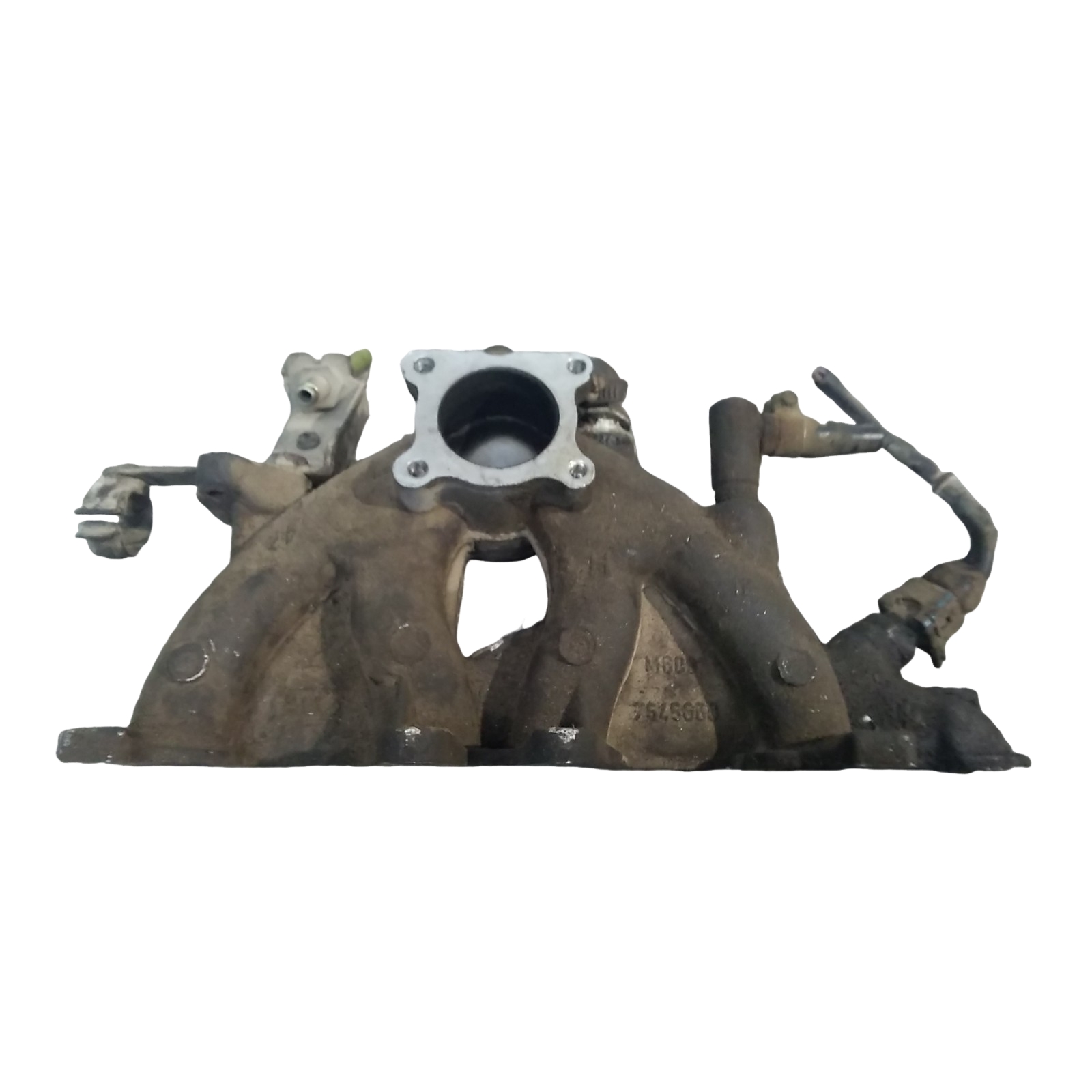 Miniatura 6