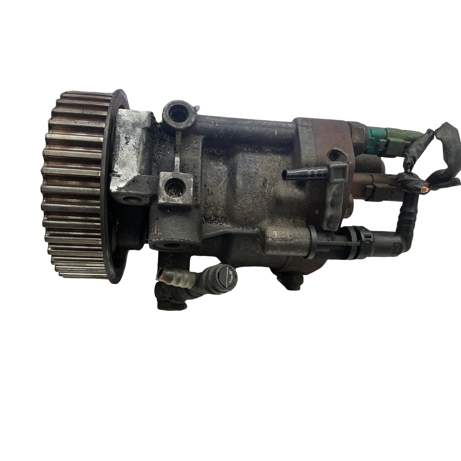 Miniatura 5