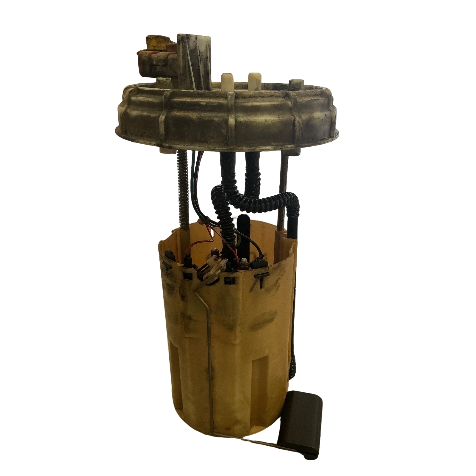 Miniatura 2