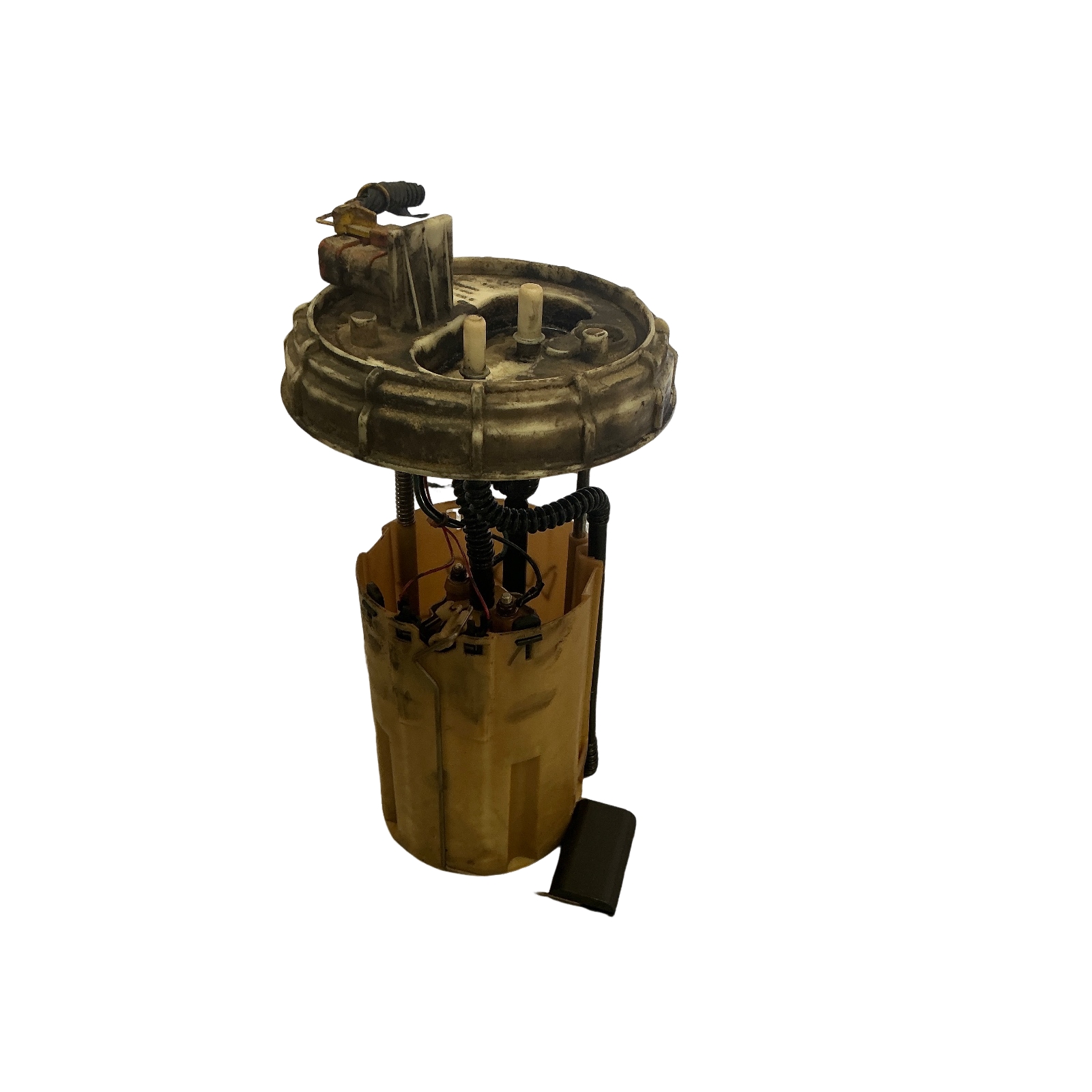 Miniatura 4