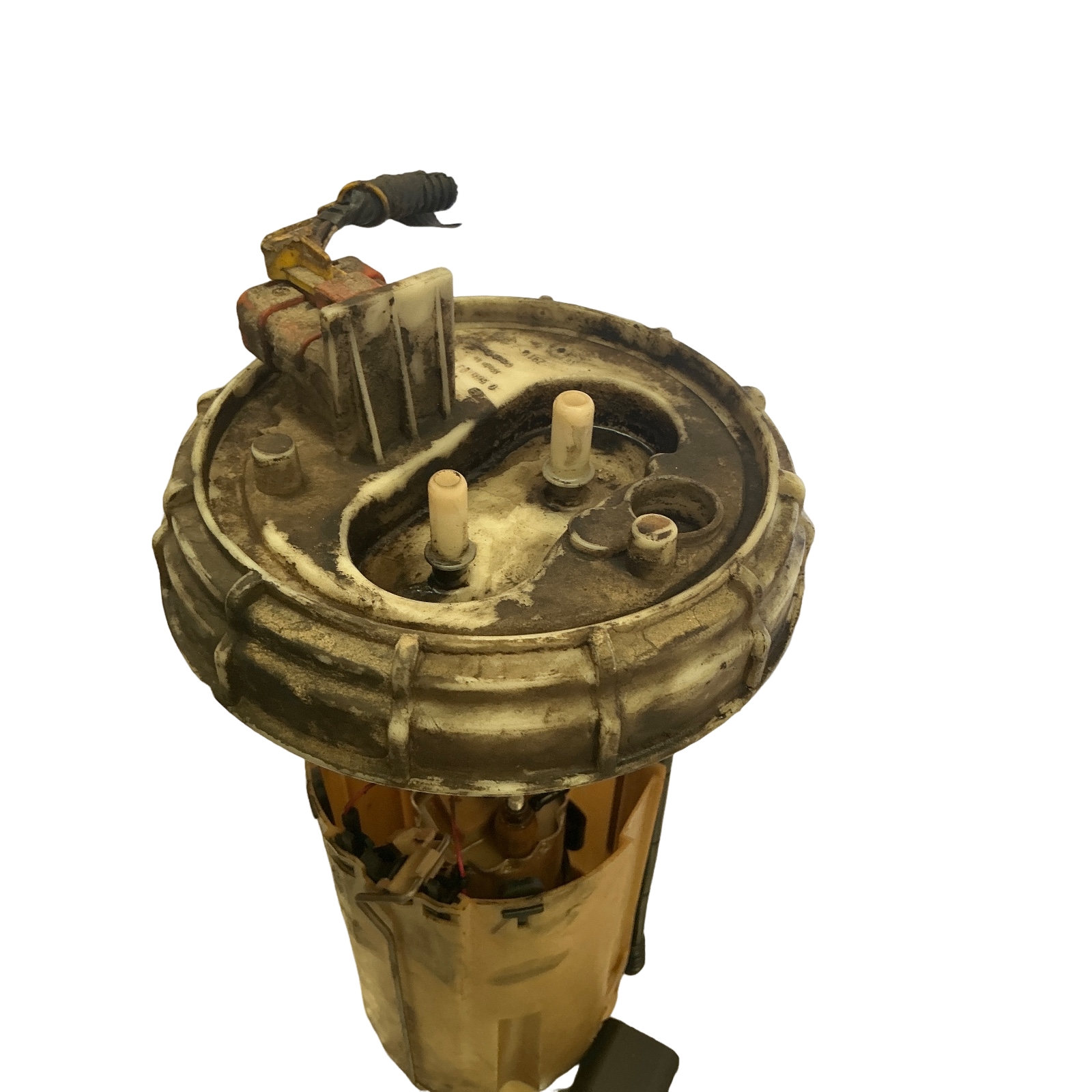 Miniatura 5