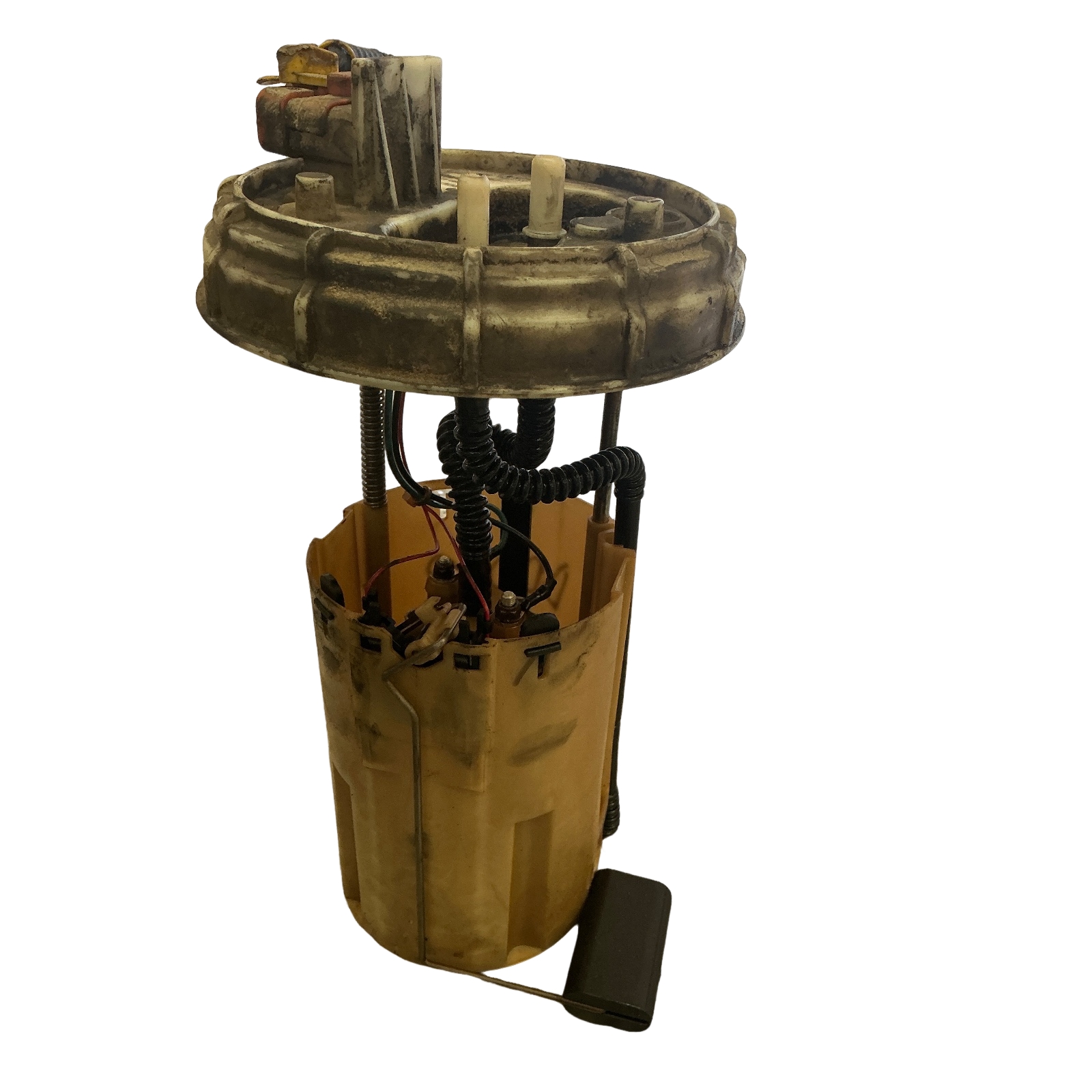 Miniatura 3