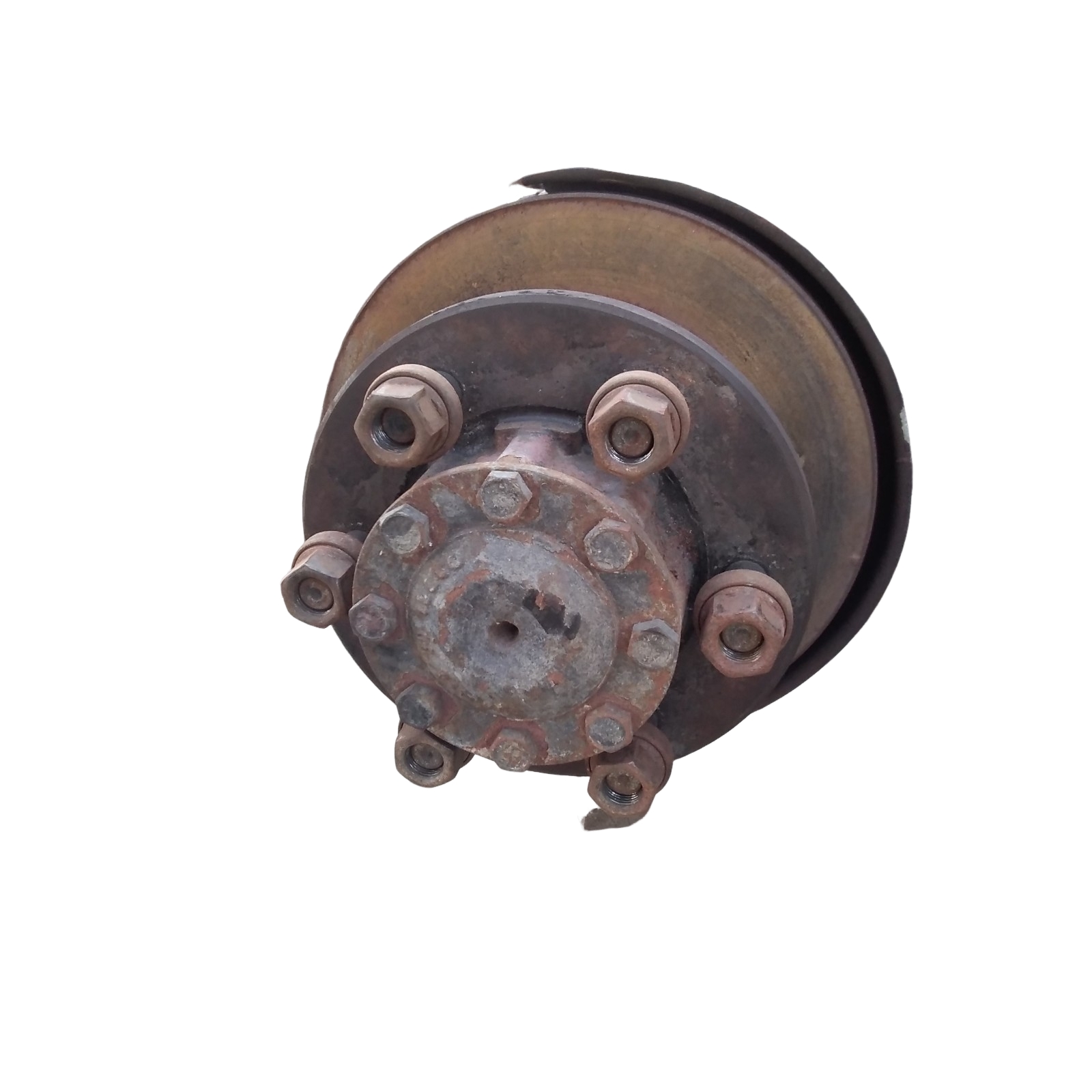 Miniatura 9