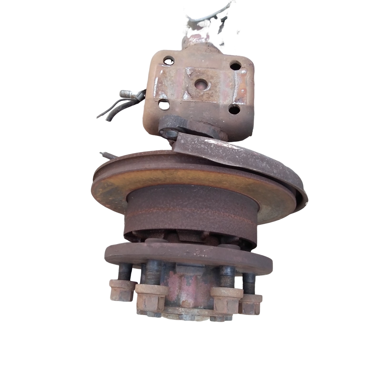 Miniatura 8