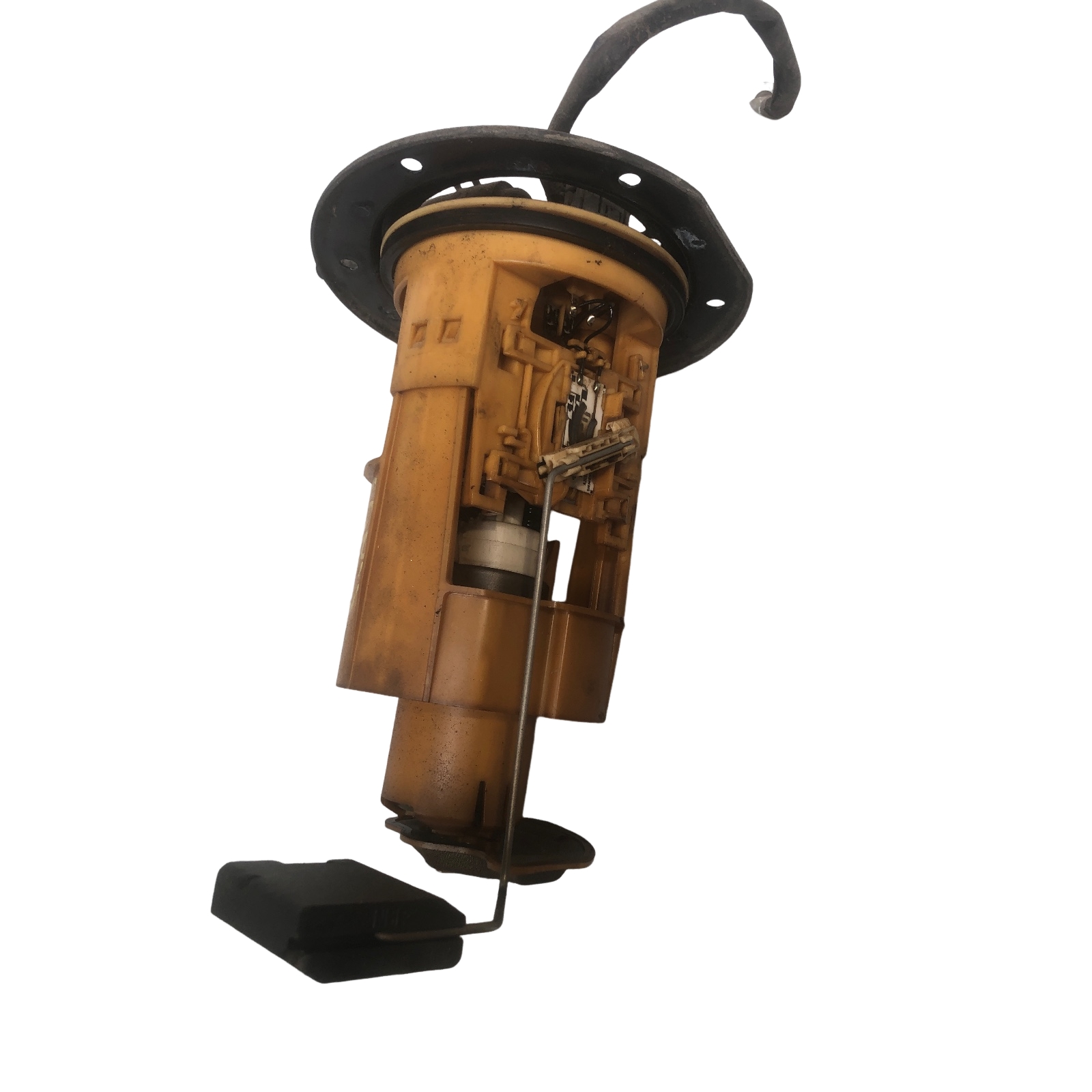 Miniatura 5