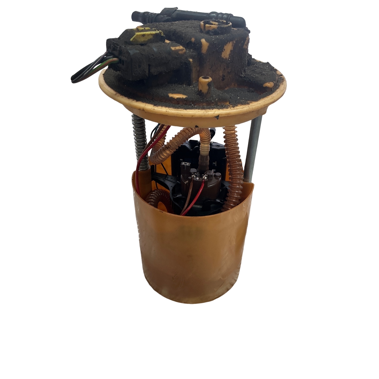 Miniatura 2