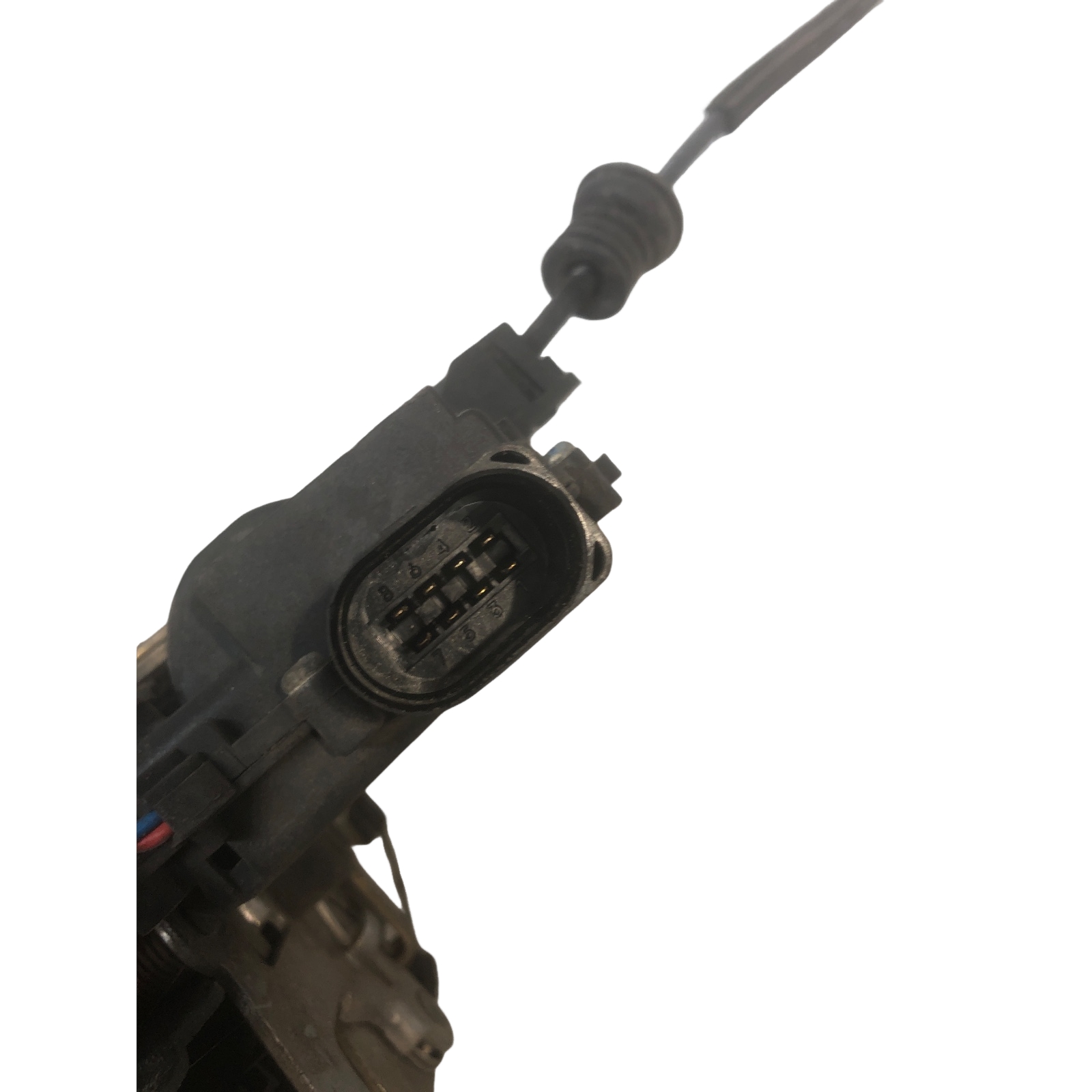 Miniatura 6