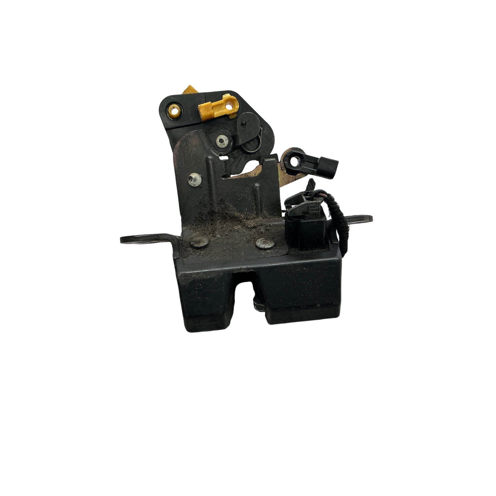 Miniatura 2