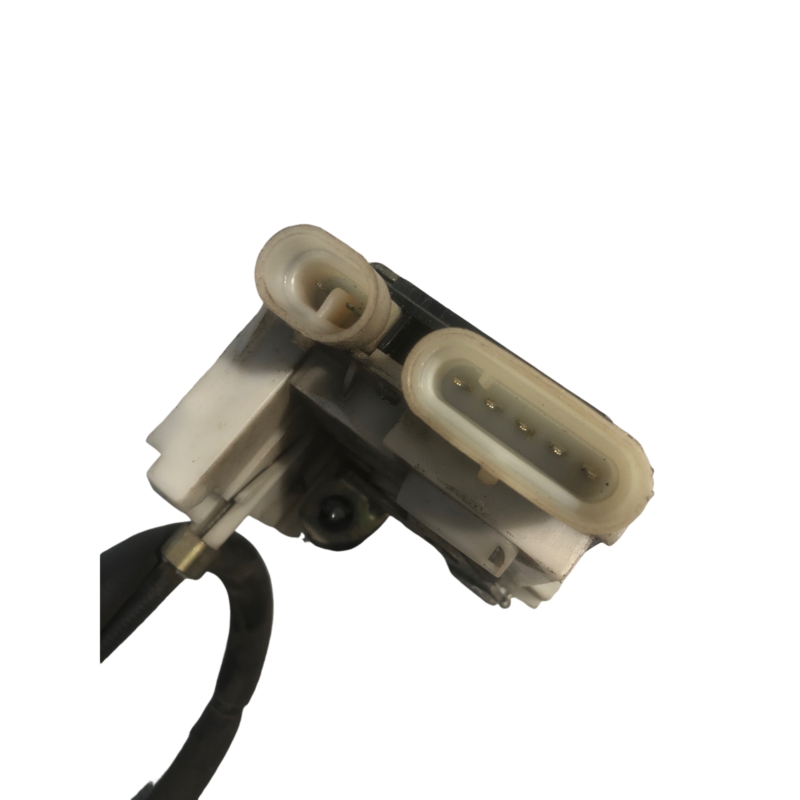 Miniatura 6