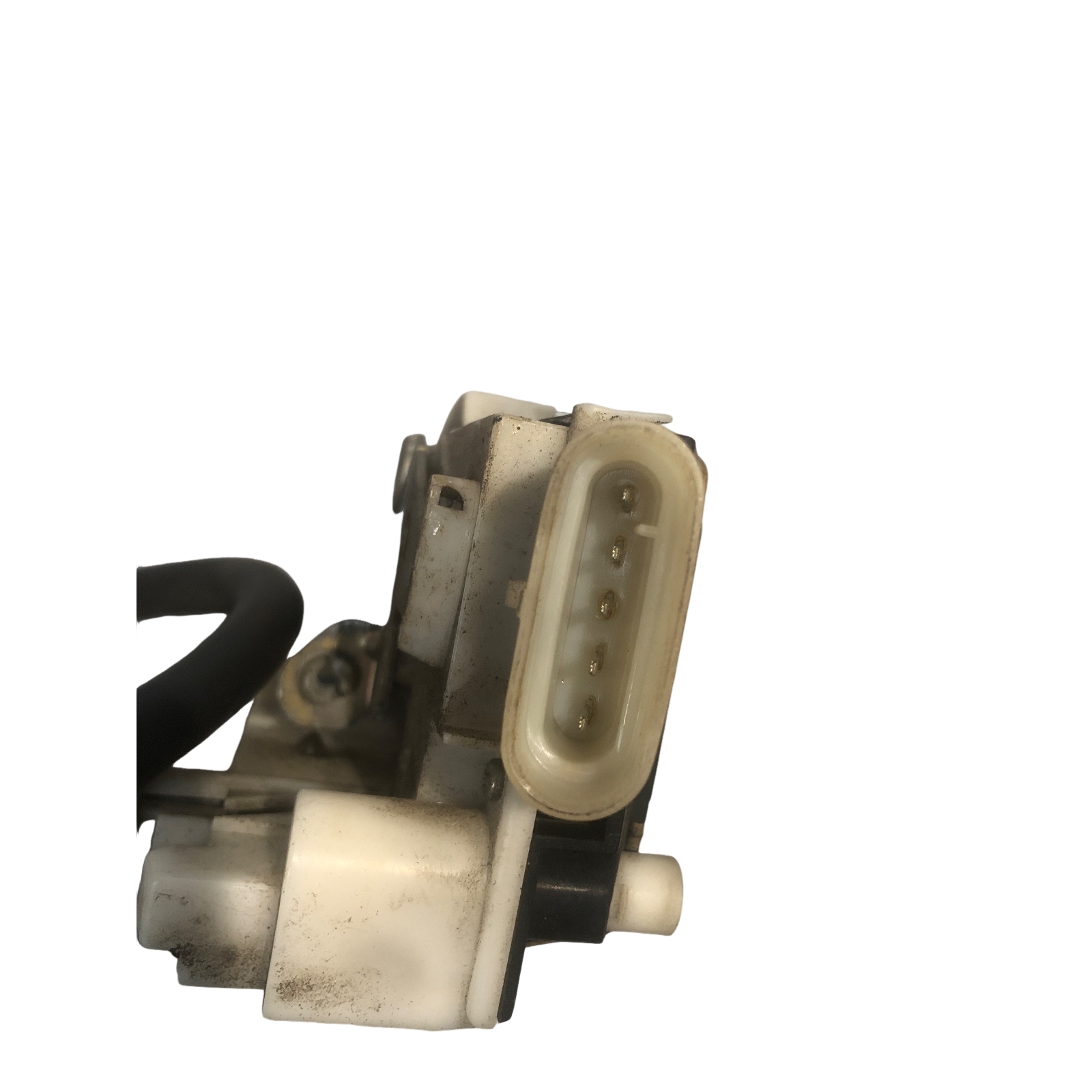 Miniatura 6