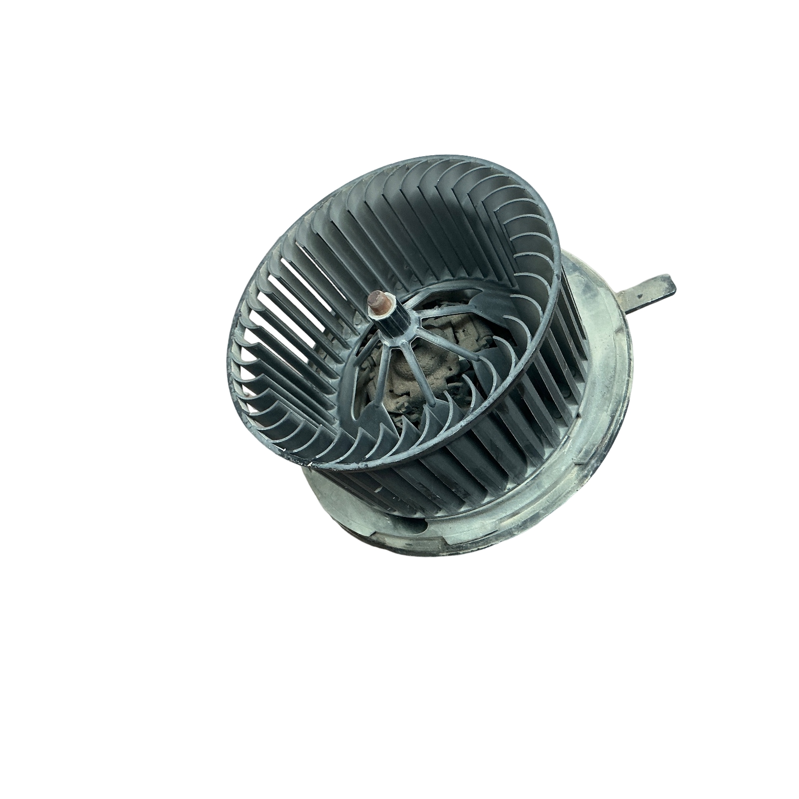 Miniatura 5