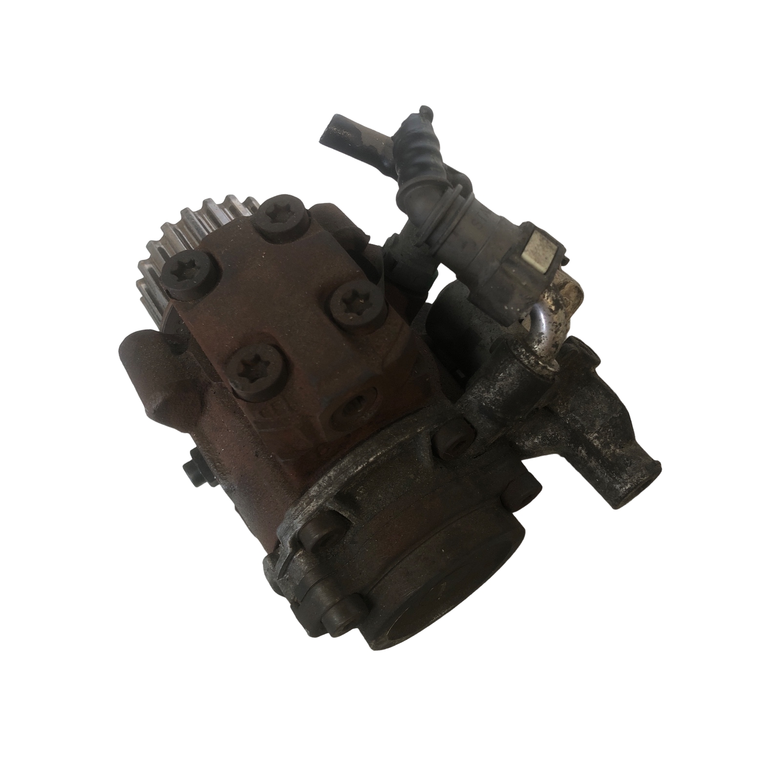 Miniatura 7