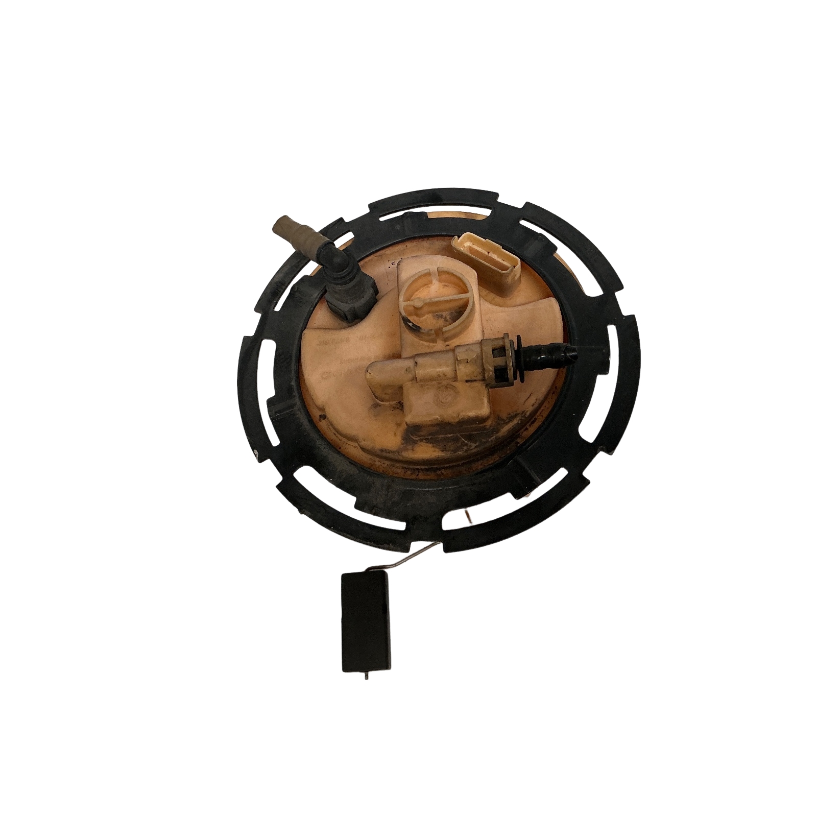 Miniatura 4