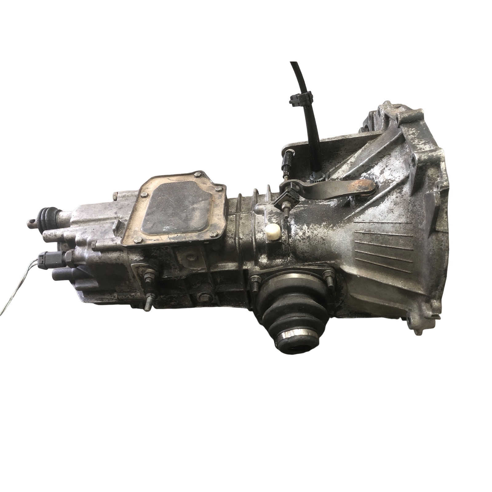 Miniatura 2