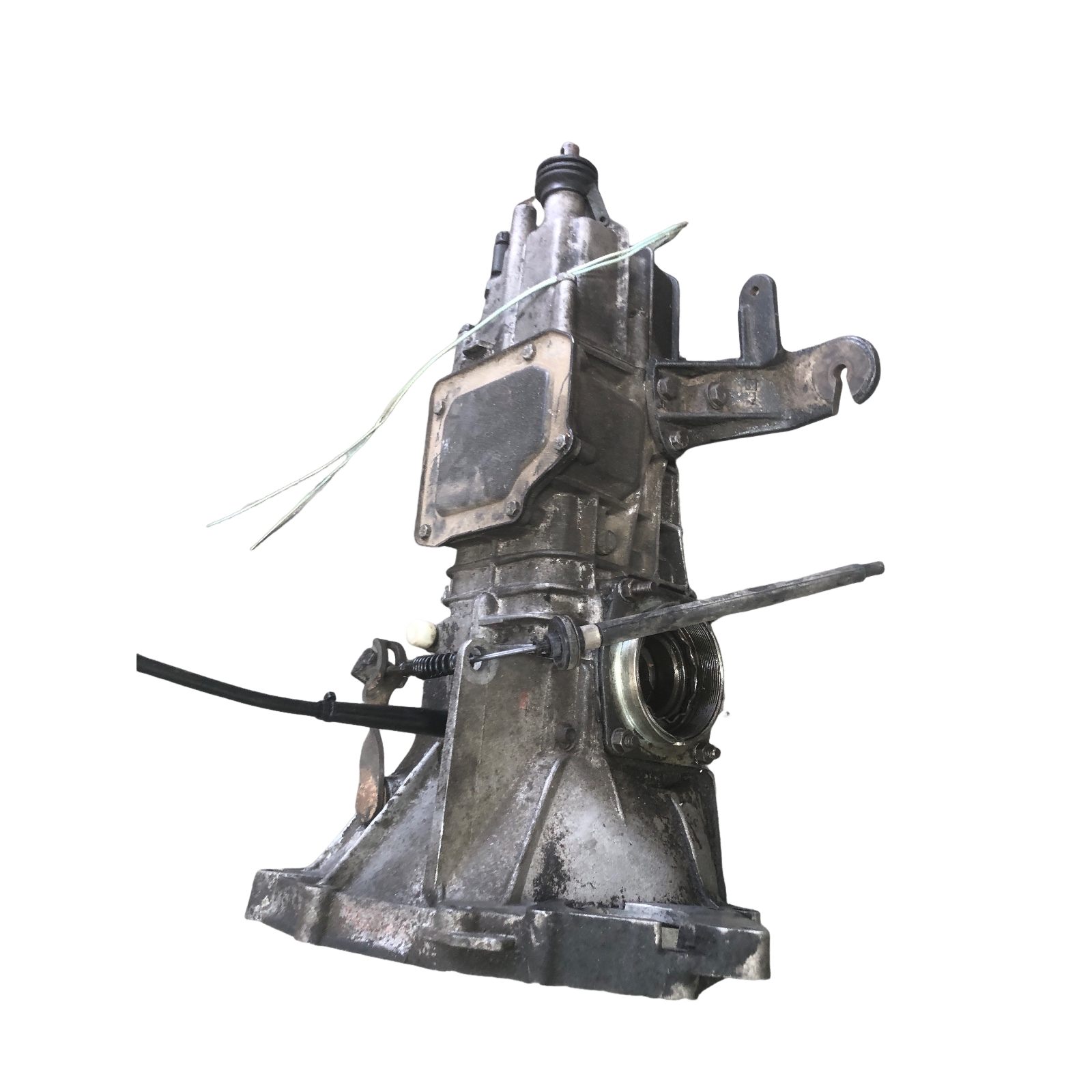 Miniatura 7