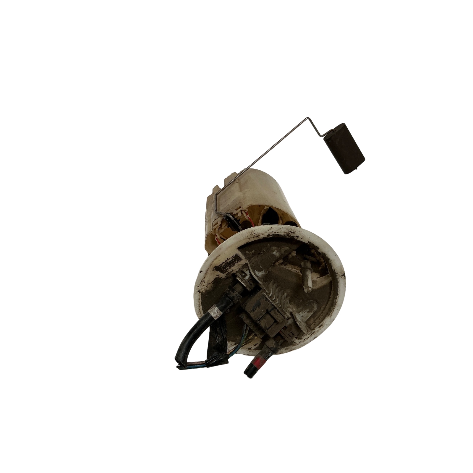 Miniatura 5