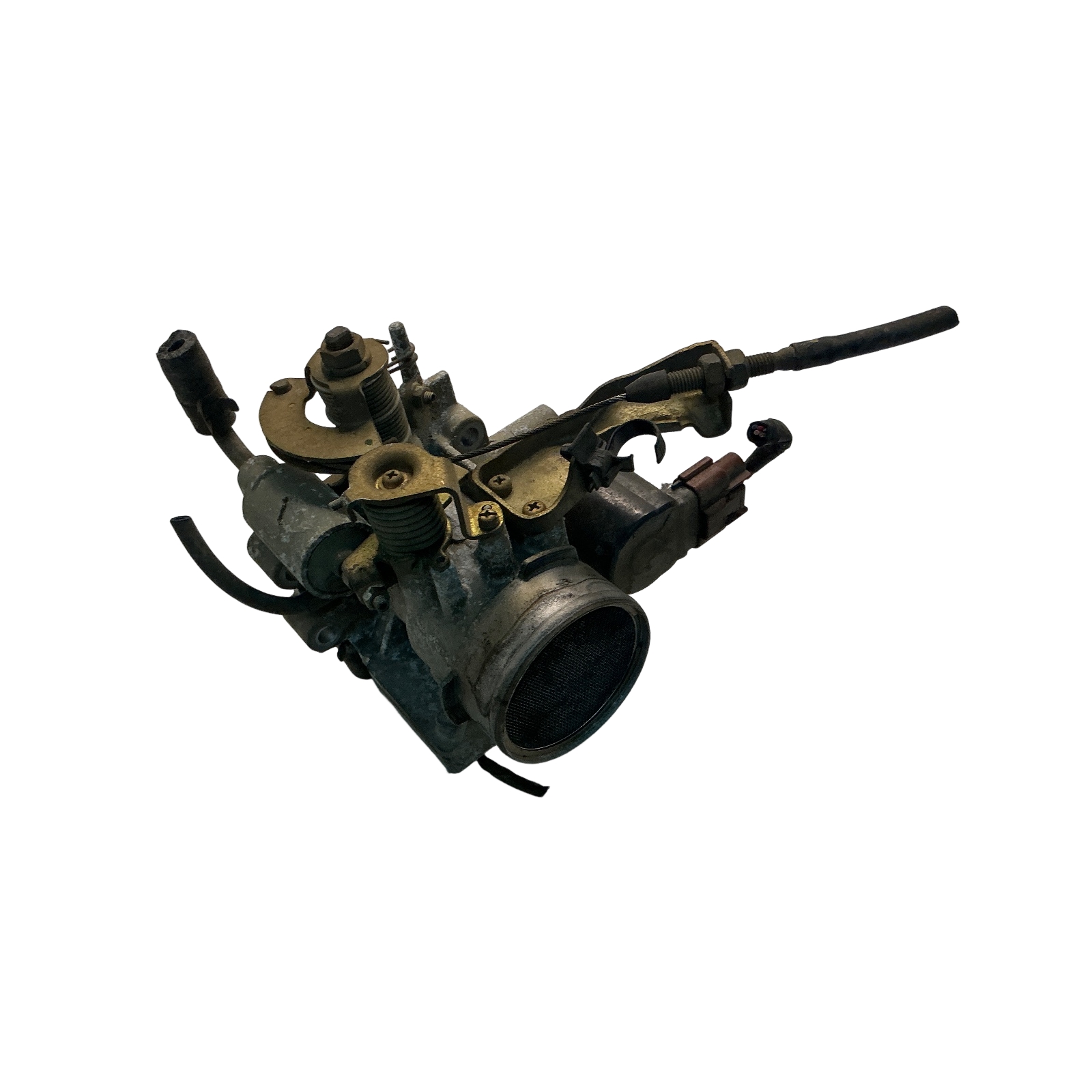 Miniatura 5