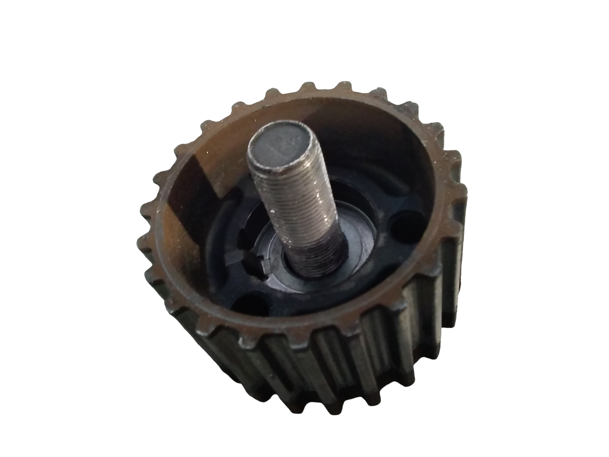Miniatura 4