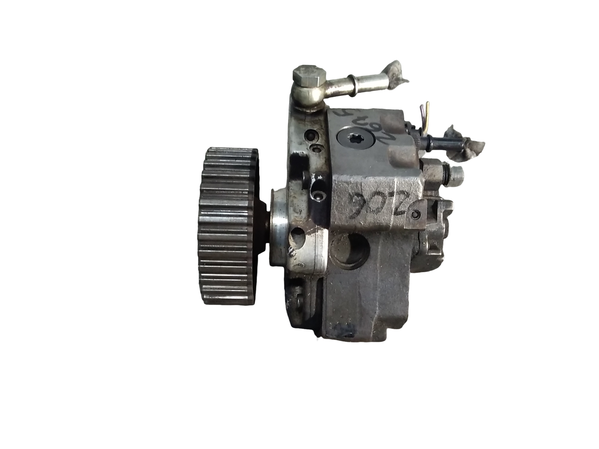 Miniatura 5