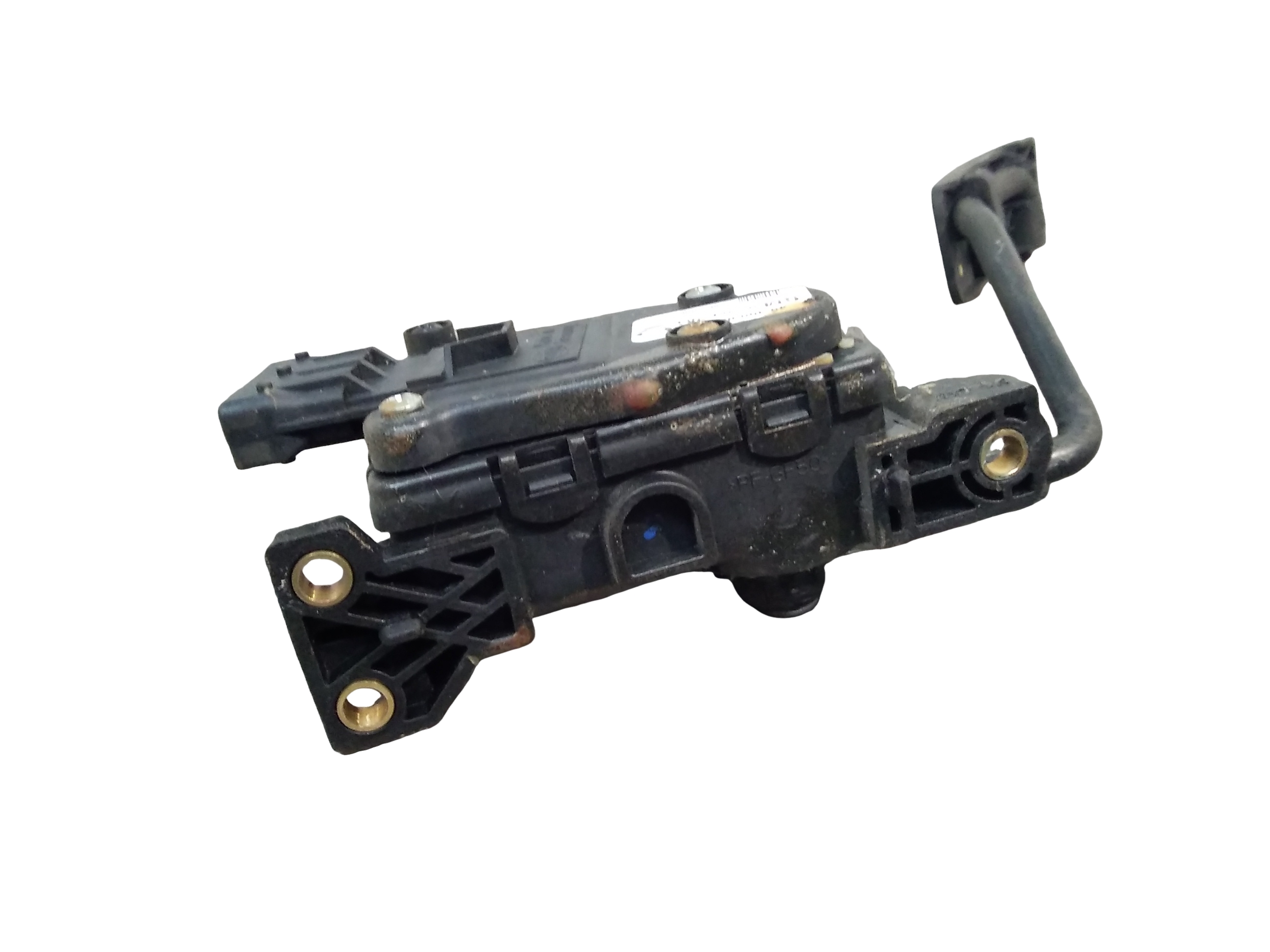 Miniatura 6