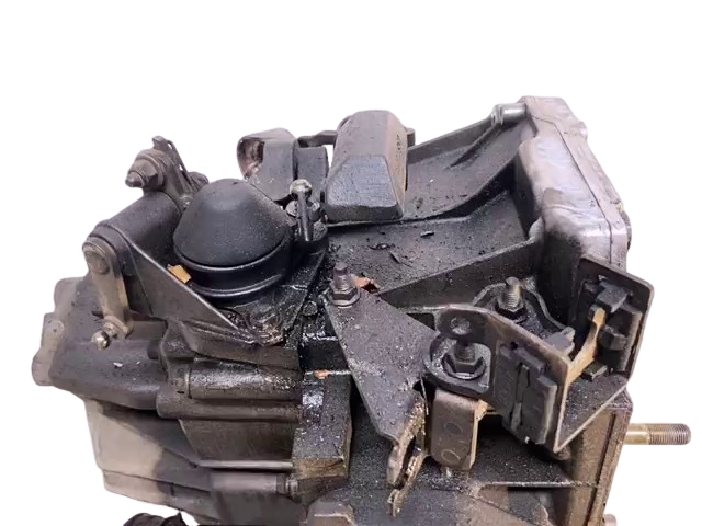 Miniatura 8