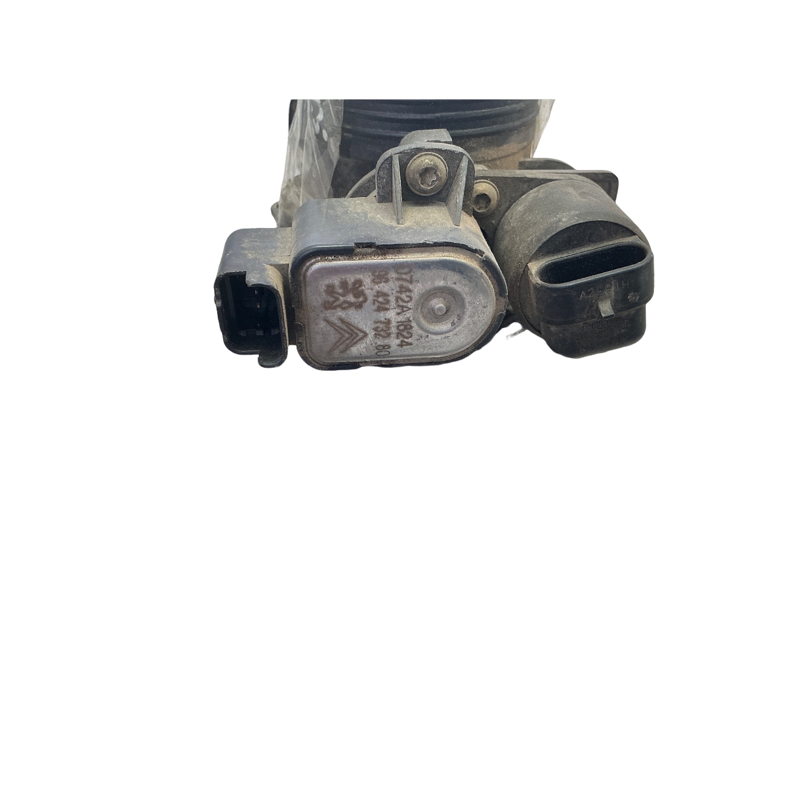 Miniatura 5