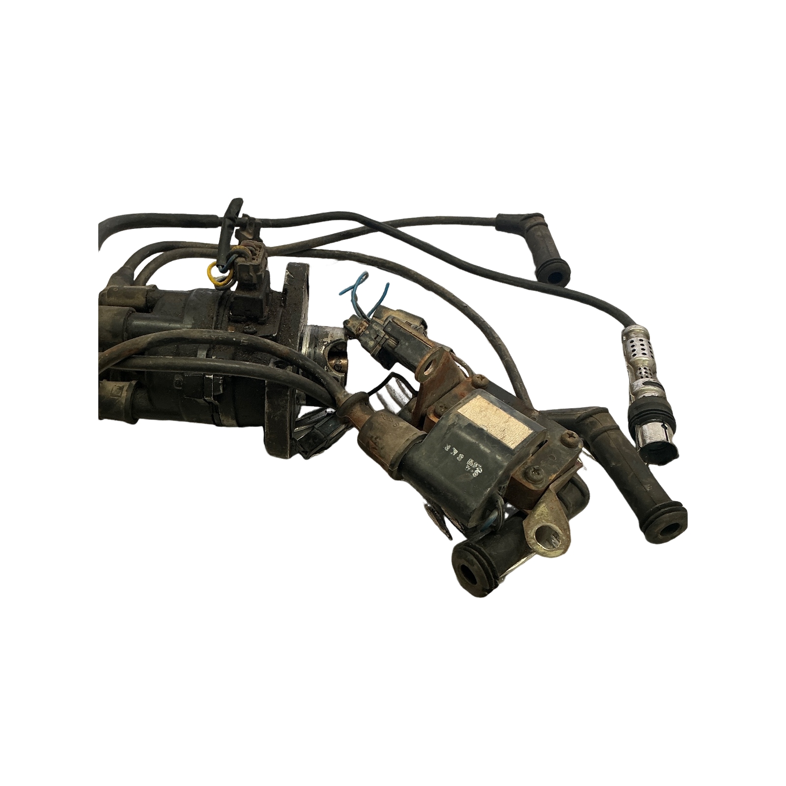 Miniatura 5
