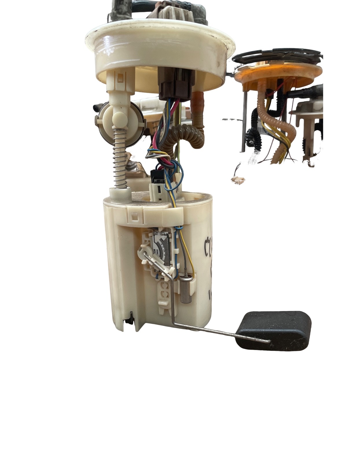 Miniatura 2