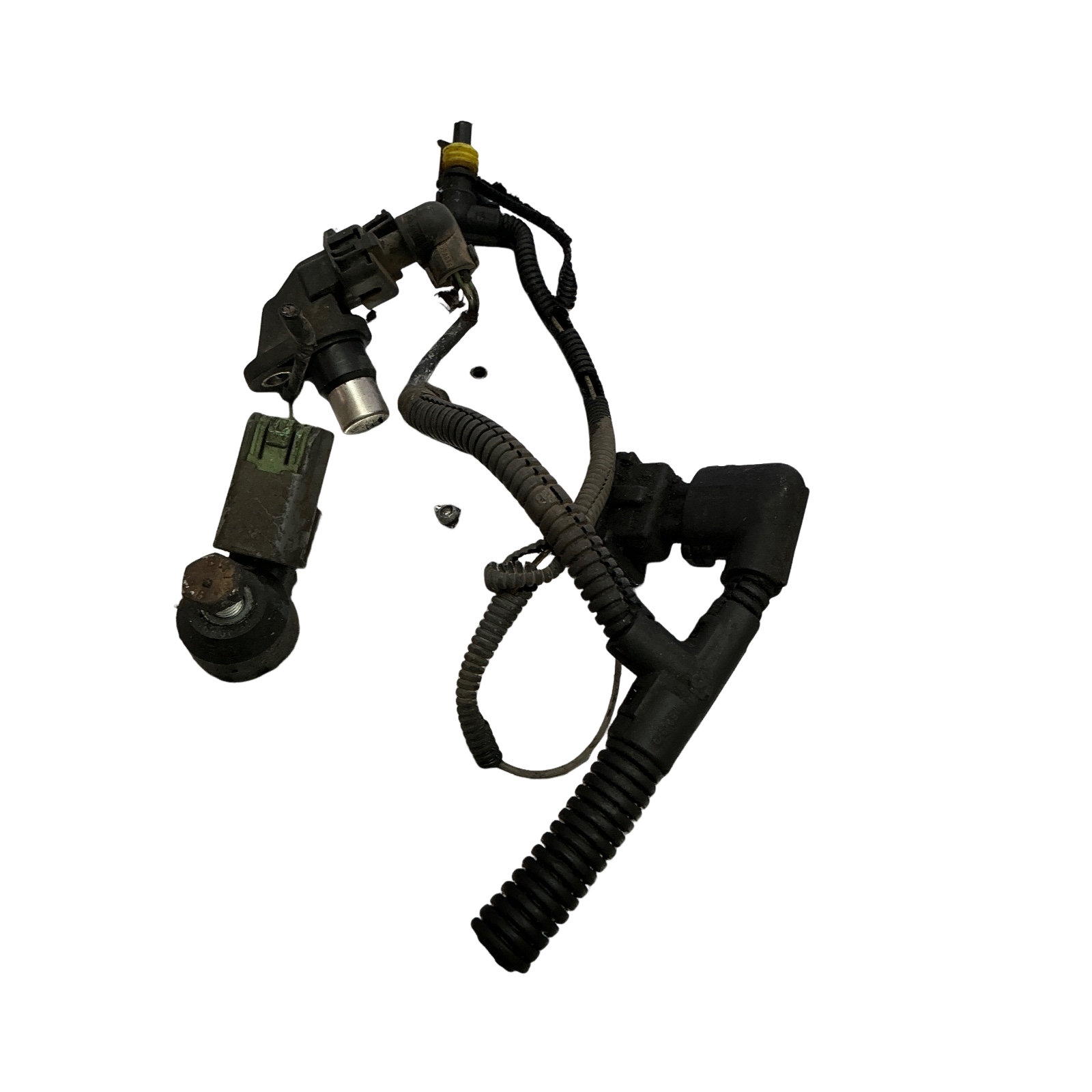 Miniatura 5
