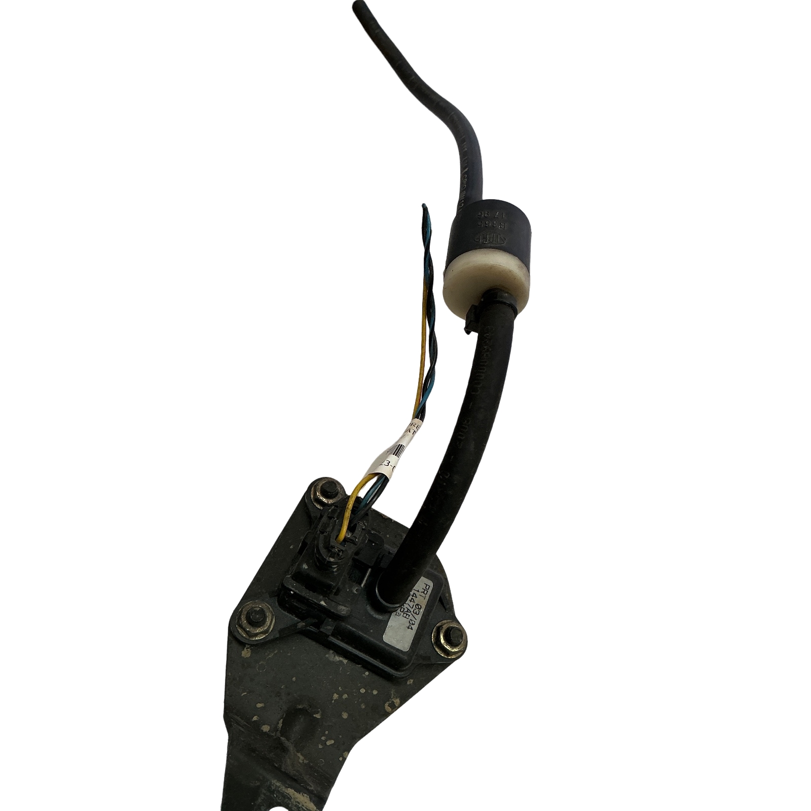 Miniatura 3
